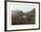 Meadow-Harvey Edwards-Framed Collectable Print