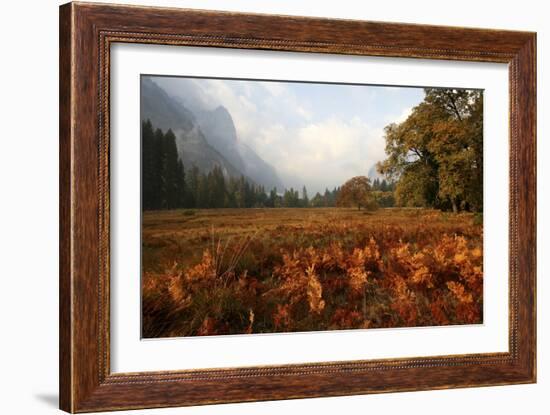 Meadow-Chris Bliss-Framed Photographic Print