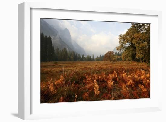 Meadow-Chris Bliss-Framed Photographic Print