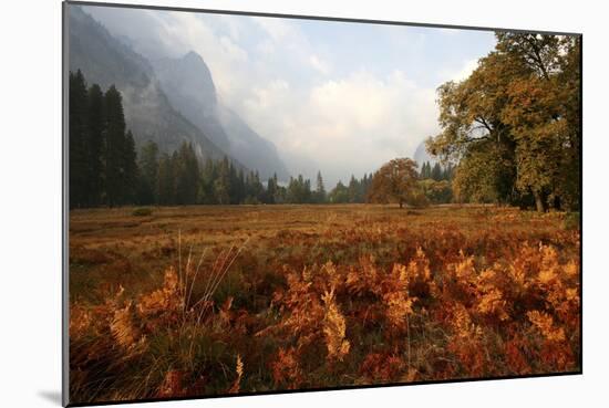 Meadow-Chris Bliss-Mounted Photographic Print