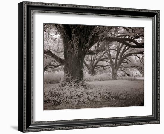 Meadowbank Farm-Carol Highsmith-Framed Art Print