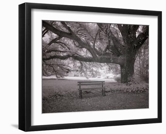 Meadowbank Farm-Carol Highsmith-Framed Art Print