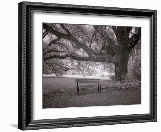 Meadowbank Farm-Carol Highsmith-Framed Art Print