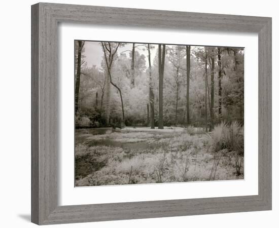 Meadowbank Farm-Carol Highsmith-Framed Art Print