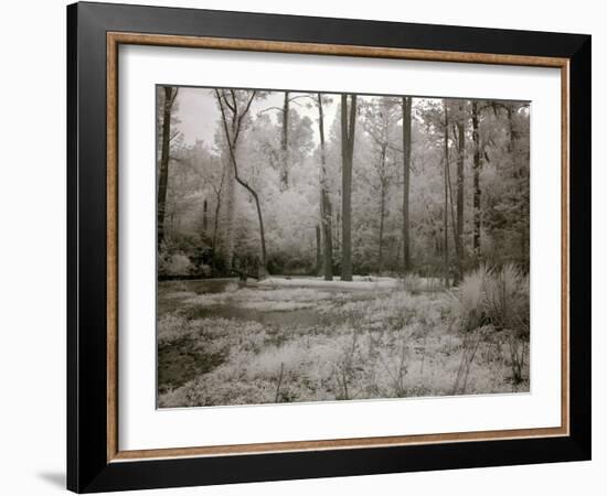 Meadowbank Farm-Carol Highsmith-Framed Art Print