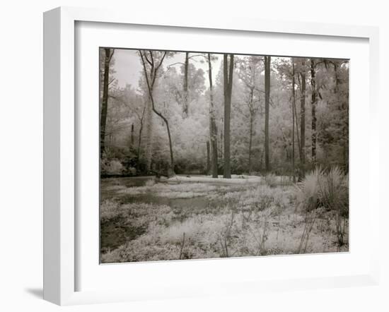 Meadowbank Farm-Carol Highsmith-Framed Art Print