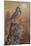 Meadowlark Painting-Jeff Tift-Mounted Giclee Print