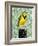 Meadowlark-null-Framed Art Print