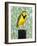 Meadowlark-null-Framed Art Print