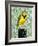 Meadowlark-null-Framed Art Print