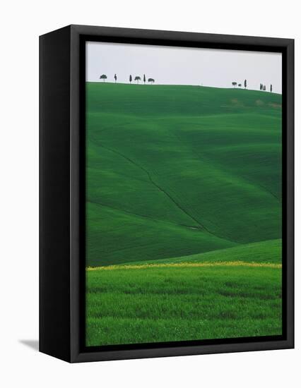 Meadows and cypresse in the Tuscany-Roland Gerth-Framed Premier Image Canvas