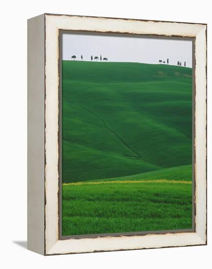 Meadows and cypresse in the Tuscany-Roland Gerth-Framed Premier Image Canvas