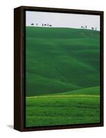 Meadows and cypresse in the Tuscany-Roland Gerth-Framed Premier Image Canvas