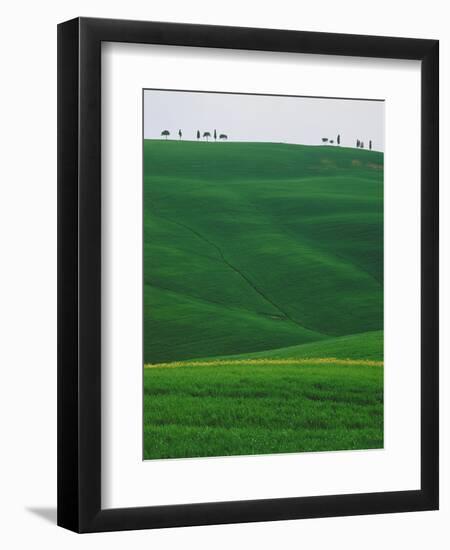 Meadows and cypresse in the Tuscany-Roland Gerth-Framed Photographic Print