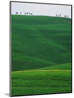Meadows and cypresse in the Tuscany-Roland Gerth-Mounted Photographic Print