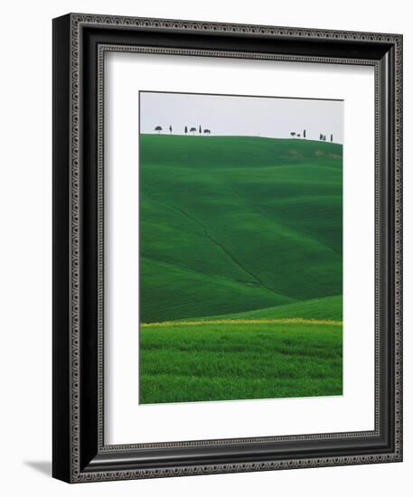 Meadows and cypresse in the Tuscany-Roland Gerth-Framed Photographic Print