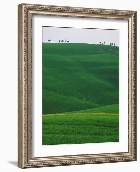 Meadows and cypresse in the Tuscany-Roland Gerth-Framed Photographic Print