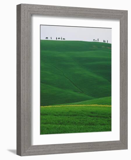 Meadows and cypresse in the Tuscany-Roland Gerth-Framed Photographic Print