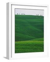 Meadows and cypresse in the Tuscany-Roland Gerth-Framed Photographic Print