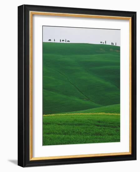 Meadows and cypresse in the Tuscany-Roland Gerth-Framed Photographic Print