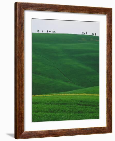 Meadows and cypresse in the Tuscany-Roland Gerth-Framed Photographic Print