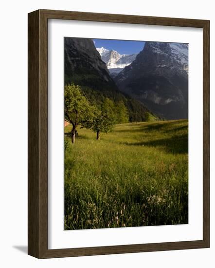 Meadows and Mountains, Grindelwald, Bern, Switzerland, Europe-Richardson Peter-Framed Photographic Print