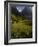 Meadows and Mountains, Grindelwald, Bern, Switzerland, Europe-Richardson Peter-Framed Photographic Print