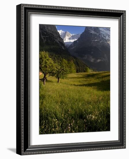 Meadows and Mountains, Grindelwald, Bern, Switzerland, Europe-Richardson Peter-Framed Photographic Print