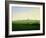 Meadows near Greifswald-Caspar David Friedrich-Framed Giclee Print