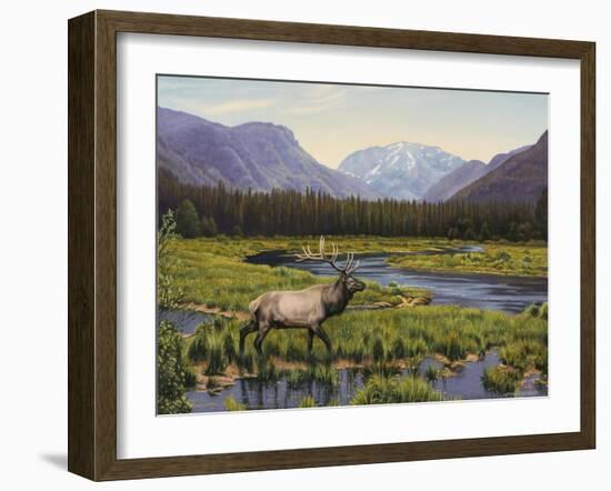 Meadows of Grand Lake, Colorado-John Zaccheo-Framed Giclee Print