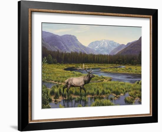 Meadows of Grand Lake, Colorado-John Zaccheo-Framed Giclee Print