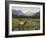 Meadows of Grand Lake, Colorado-John Zaccheo-Framed Giclee Print