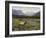 Meadows of Grand Lake, Colorado-John Zaccheo-Framed Giclee Print