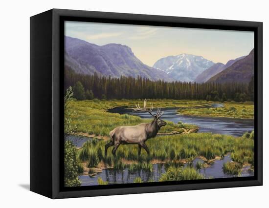 Meadows of Grand Lake, Colorado-John Zaccheo-Framed Premier Image Canvas