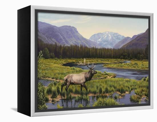 Meadows of Grand Lake, Colorado-John Zaccheo-Framed Premier Image Canvas