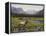 Meadows of Grand Lake, Colorado-John Zaccheo-Framed Premier Image Canvas