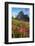 Meadows of red paintbrush wildflowers at Boulder Pass. Glacier National Park-Alan Majchrowicz-Framed Photographic Print