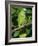 Mealy Amazon Parrot-Lynn M. Stone-Framed Photographic Print