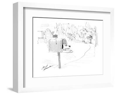 Mean-looking dog waiting in mailbox for the postman. - Cartoon' Premium Giclee Print - Bernard Schoenbaum Mean-looking dog waiting in mailbox for the postman. - Cartoon' Premium Giclee Print - Bernard Schoenbaum