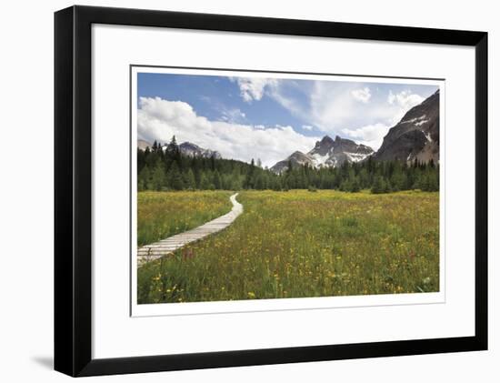 Meander The Meadow-Donald Paulson-Framed Giclee Print