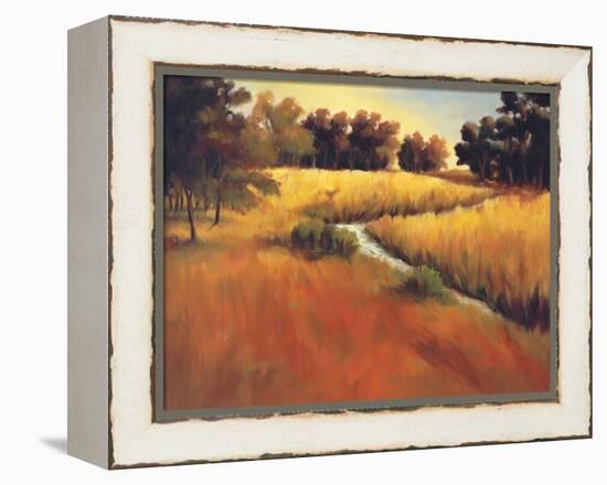 Meandering Stream-Tim Howe-Framed Premier Image Canvas