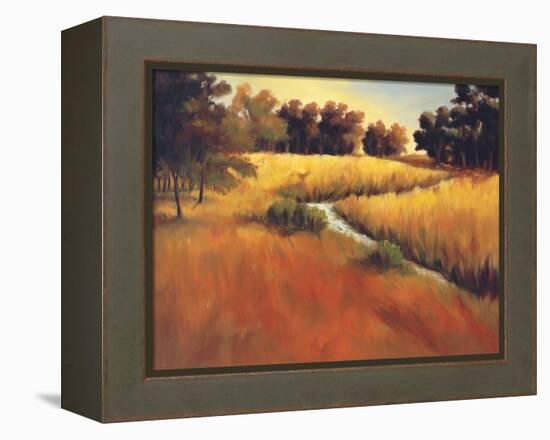 Meandering Stream-Tim Howe-Framed Premier Image Canvas