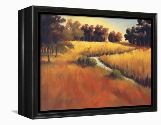 Meandering Stream-Tim Howe-Framed Premier Image Canvas