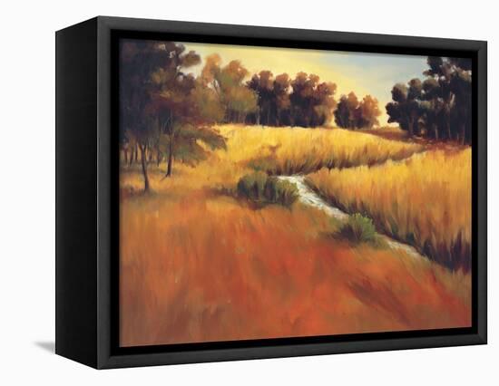 Meandering Stream-Tim Howe-Framed Premier Image Canvas