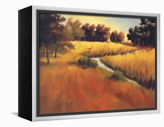 Meandering Stream-Tim Howe-Framed Premier Image Canvas