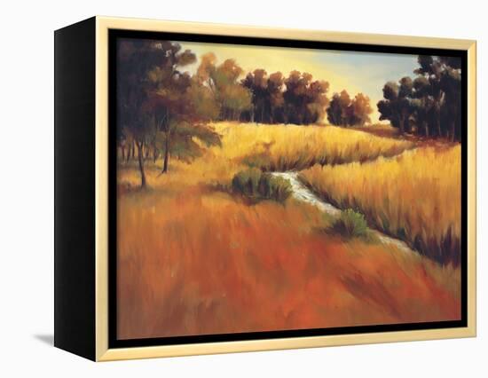 Meandering Stream-Tim Howe-Framed Premier Image Canvas