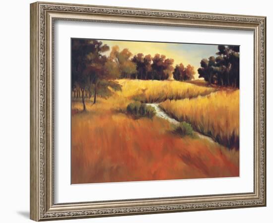 Meandering Stream-Tim Howe-Framed Premium Giclee Print