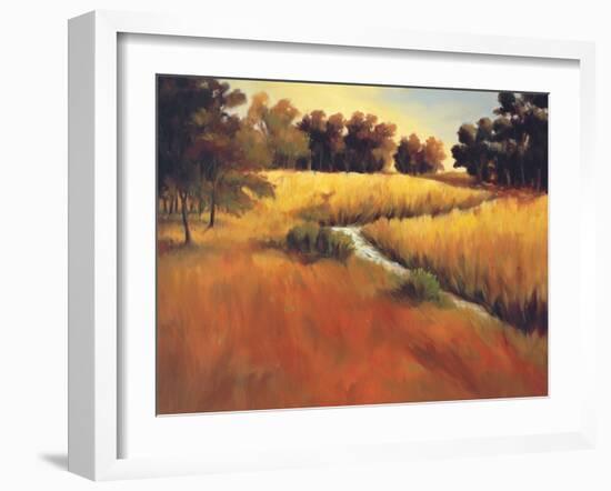 Meandering Stream-Tim Howe-Framed Premium Giclee Print