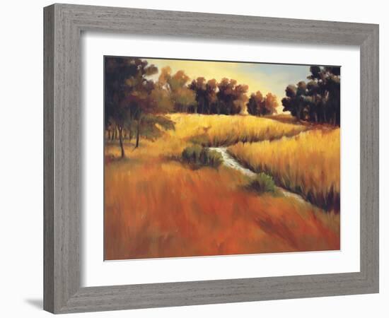 Meandering Stream-Tim Howe-Framed Giclee Print