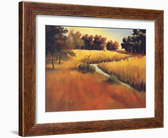 Meandering Stream-Tim Howe-Framed Giclee Print